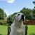 Bruce Sienknecht's profile image