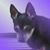 Donna Hurst's profile image