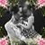 Carol Ann Denegris's profile image