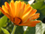 kendra m.'s profile image