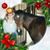 Kat Segers's profile image