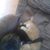 Sandy Jasman's profile image