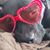 Leanne Falzone's profile image