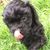 Emmylou Fleming Abrahamson's profile image
