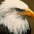 Arlene Clements's profile image