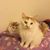 Jean Middlebrook's profile image