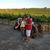 Yoli Marron's profile image
