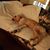 Chari Lynn Will's profile image