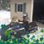 Jackie D Leitza's profile image