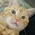 Allene Denise Campbell's profile image