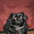 Marianne Compton's profile image