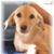 Judy E. Noah's profile image