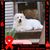 Tami Hougland's profile image