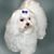 Mary Ann Lazarides's profile image