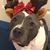 Dawn Daugherty Eike's profile image