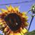 Nancy Laskey's profile image