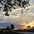 Doreen Ramos's profile image
