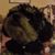Denise Guillet's profile image