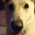Eddy Goldman's profile image