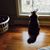 Dian Doyle Wallis's profile image