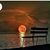 Tonya Jones Tolleson's profile image