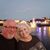 Angie Johnson's profile image