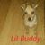 Rita Nielsen's profile image