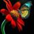 Carole Reed's profile image