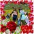 Cherie Shallers's profile image