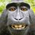 David Behnke's profile image