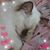 Susie Carrera Reising's profile image