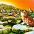 Ravin Rouse's profile image