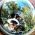Justin Young's profile image