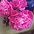 Sandy Wahl-Barnes's profile image