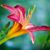 Sharon Lorraine's profile image