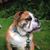 Errin Smalley's profile image