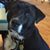 Terri Buck's profile image