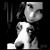 Stephanie Mucci's profile image