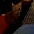Kristie L. Fravel's profile image