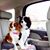 Laquita Brewer's profile image