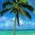 Sharon Gwynne's profile image