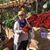 Rosa Amoroso's profile image