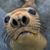 Leslie Dunton's profile image
