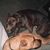 John Lamkin's profile image