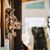 Carla Goodner's profile image