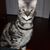 Kelly Mabie's profile image