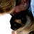 Christine Stutz's profile image