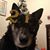 Pamela Ahlers's profile image