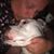 Angie Bernard Hebert-Bridier's profile image