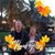 Vickie Gaines's profile image